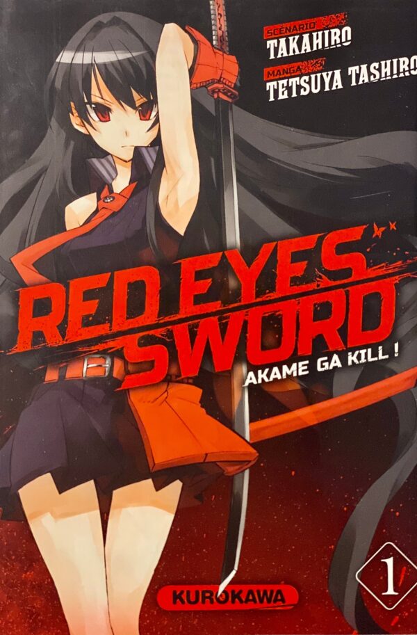 Red eyes sword tome 1