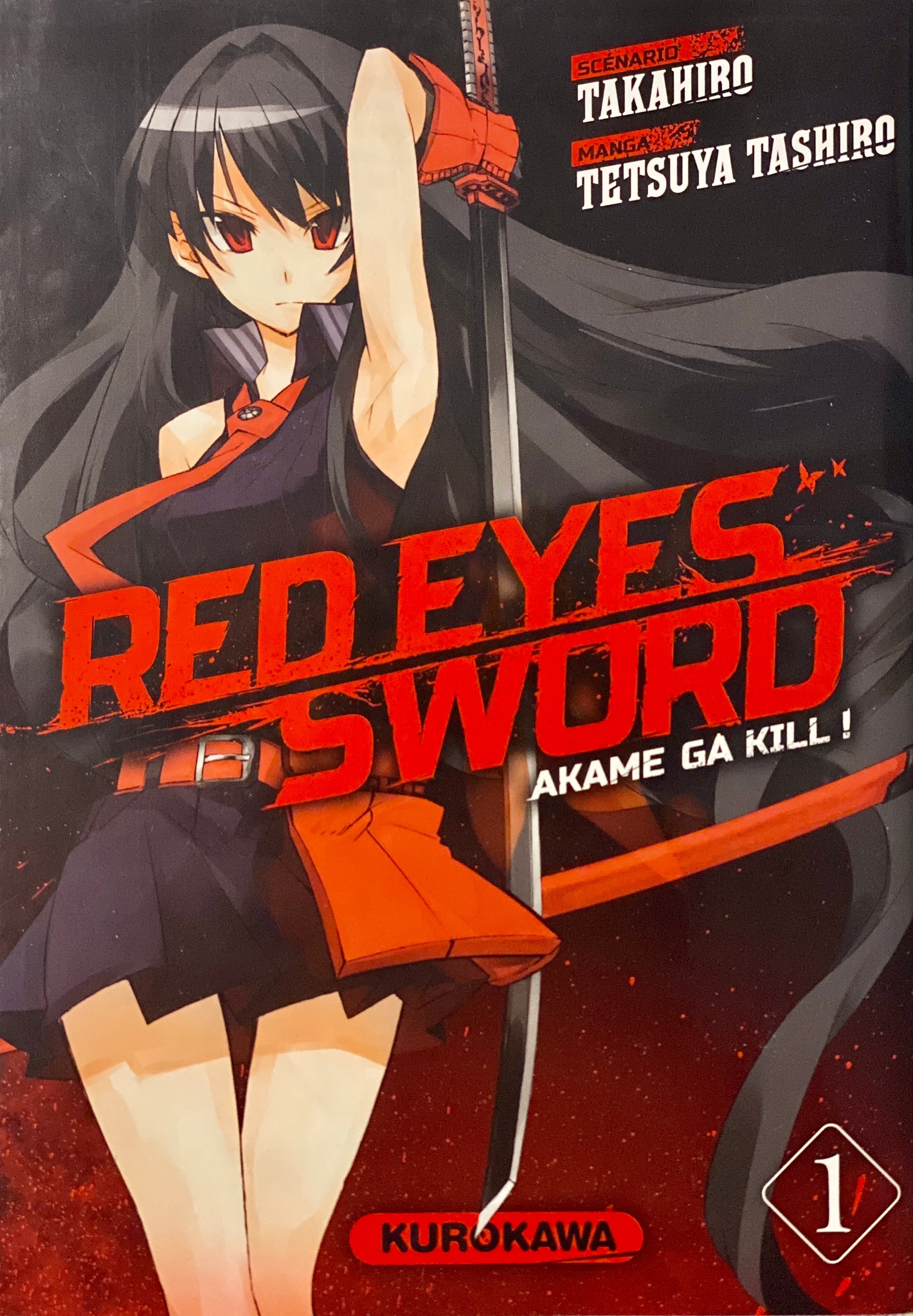 Red eyes sword tome 1