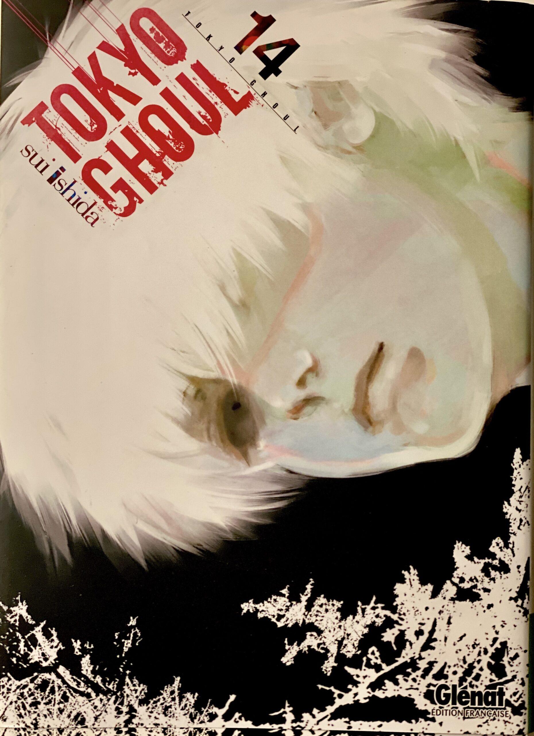 Tokyo Ghoul tome 14