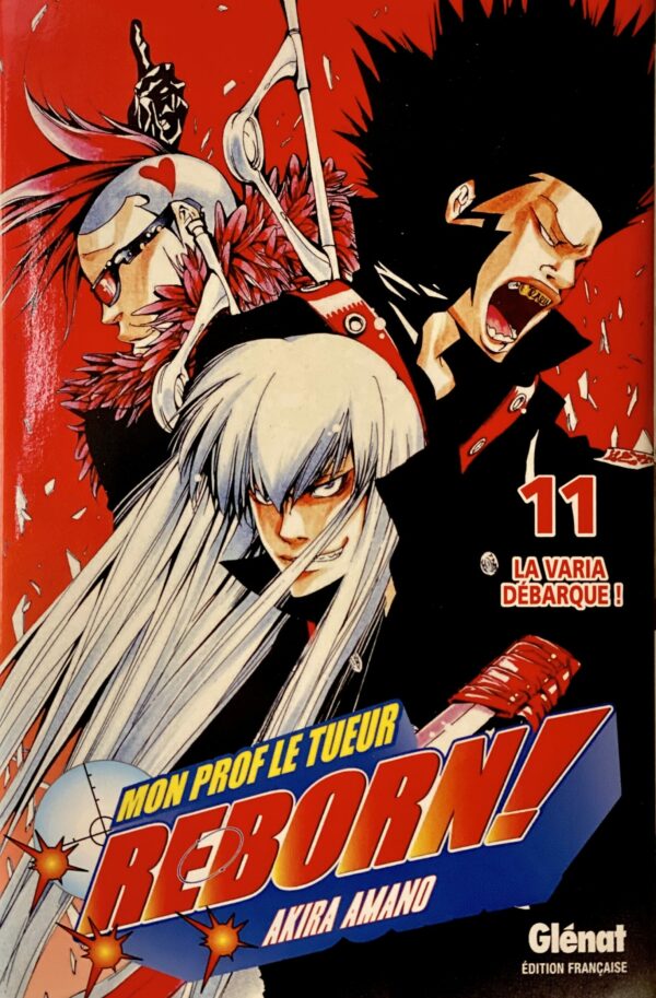 Reborn tome 11