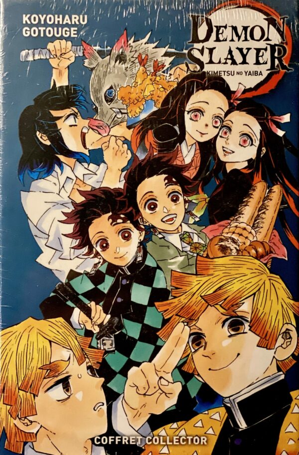 Demon Slayer tome 17 Coffret collector