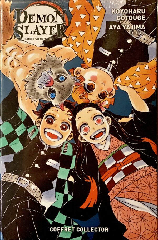 Demon Slayer tome 19 coffret collector