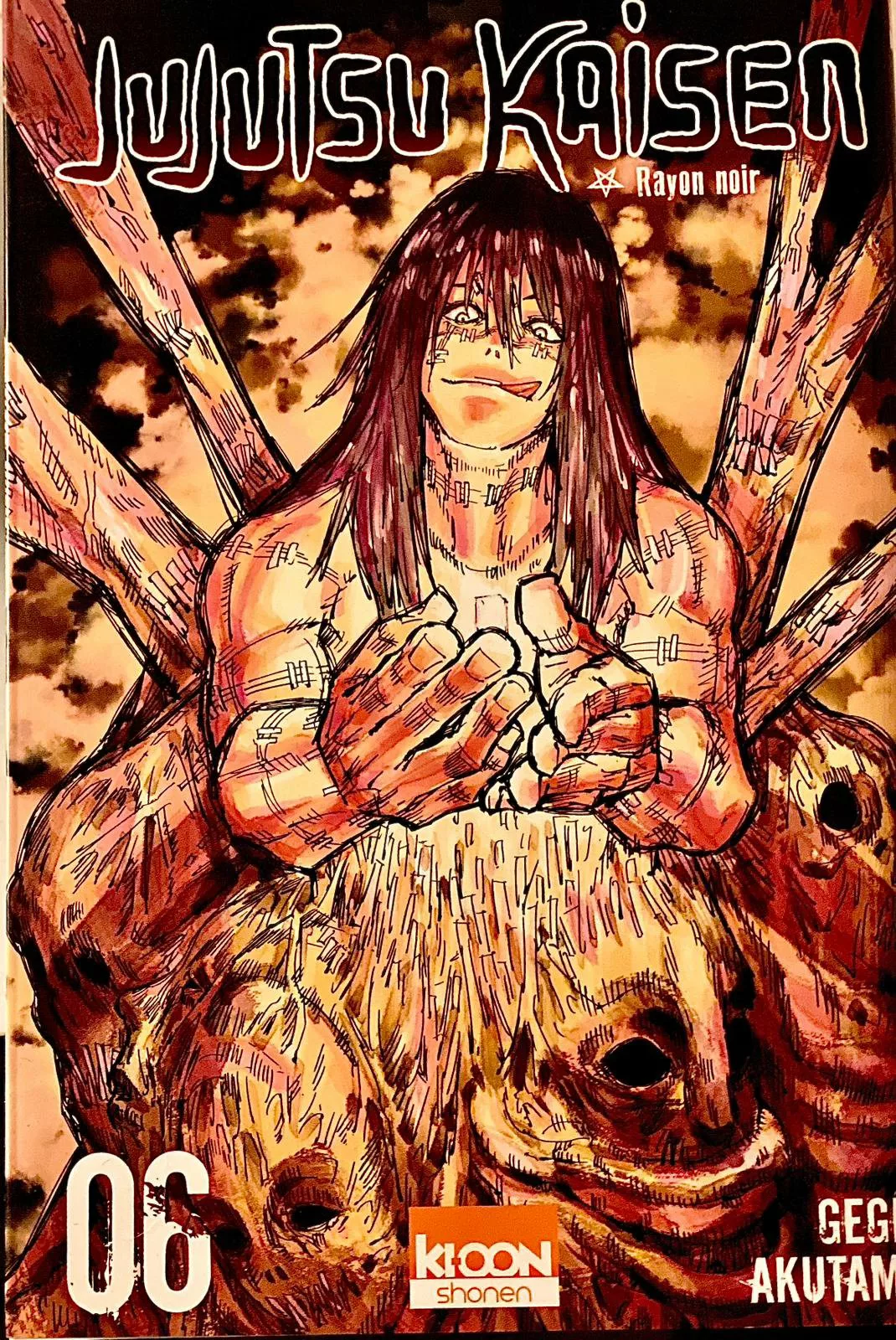 Jujustu Kaisen Tome 6