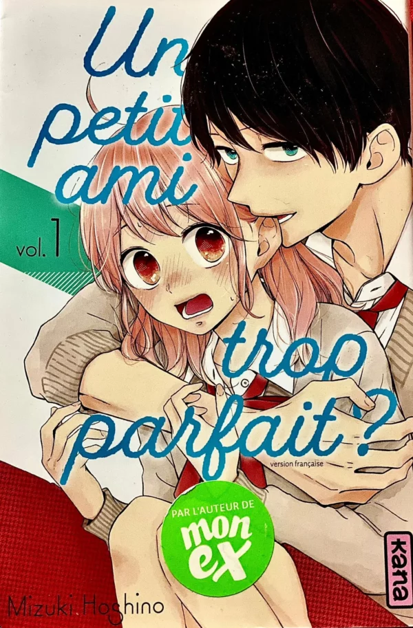Un petit ami trop parfait ? Tome 1