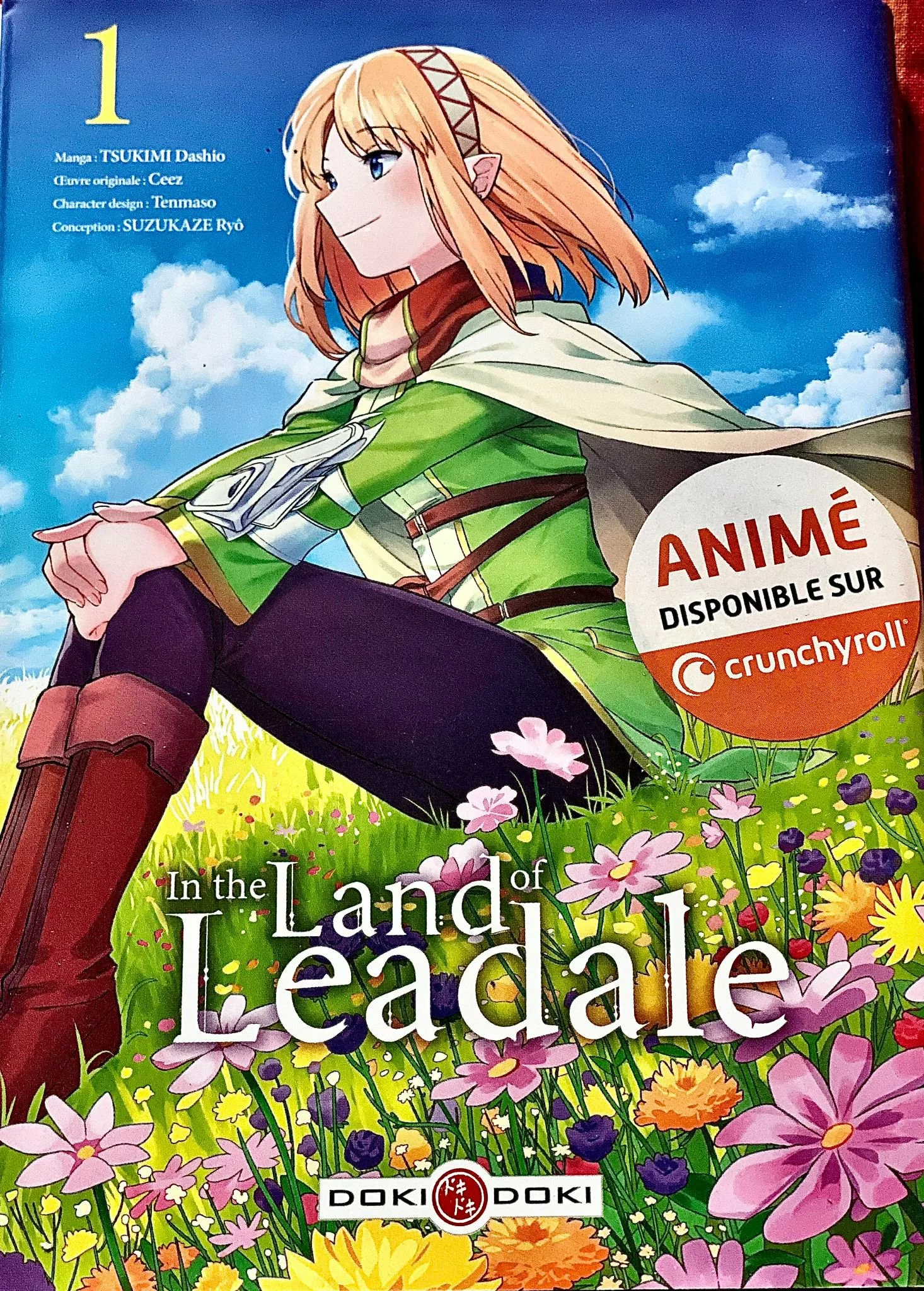 In the Land of Leadale Tome 1