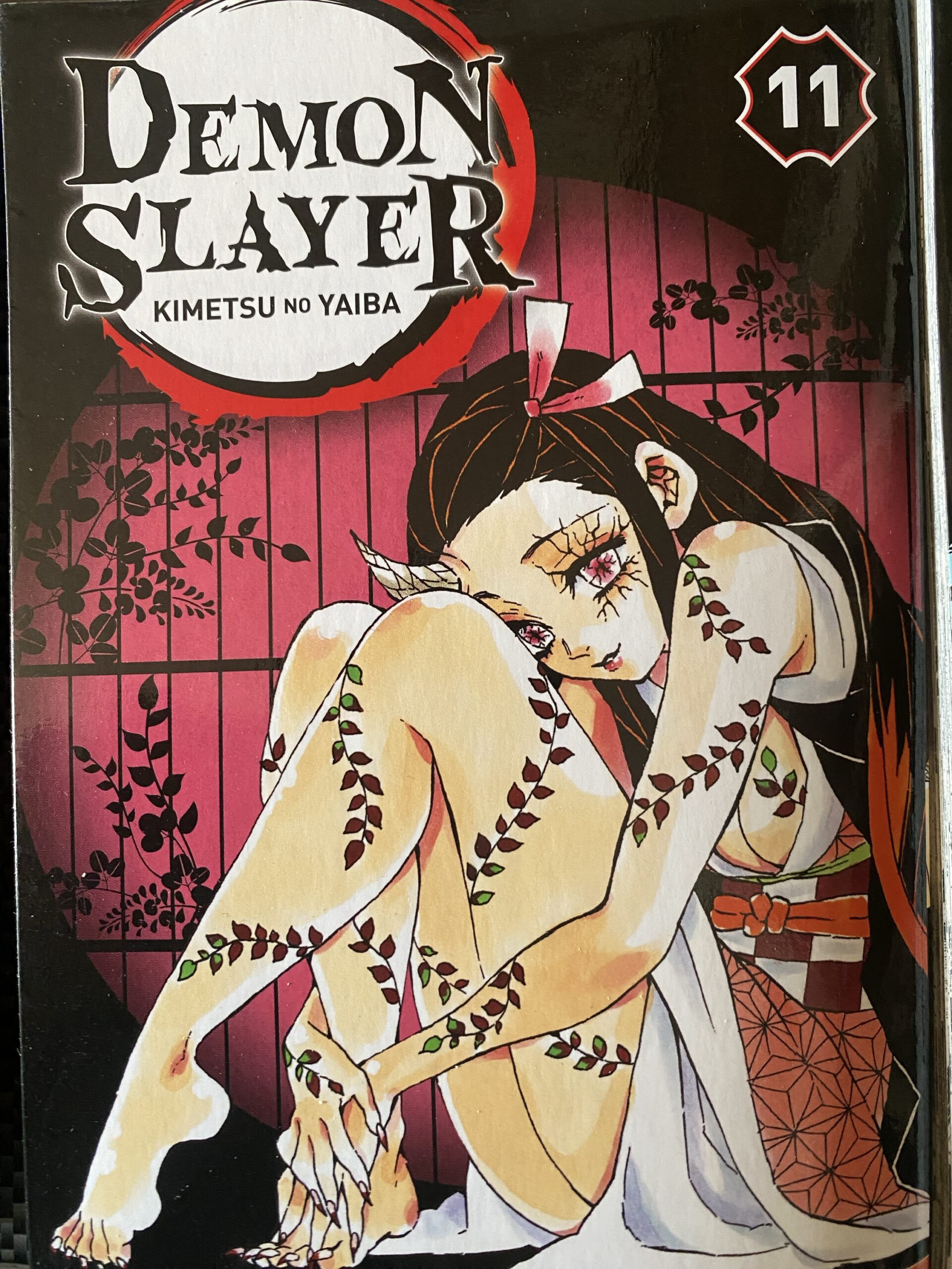 Demon Slayer Tome 11