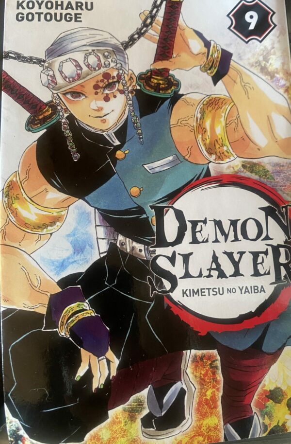 Demon Slayer Tome 9